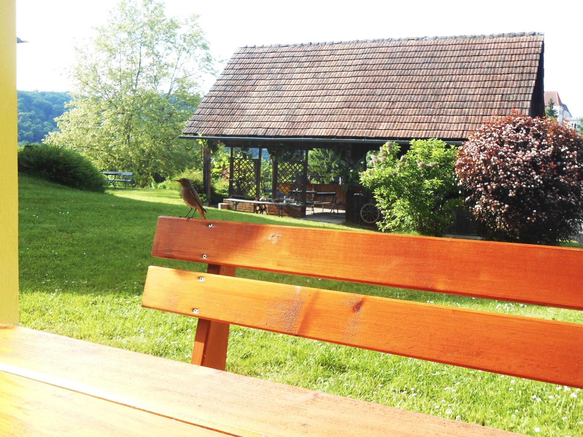 Ferienwohnungen Karin Am Seggauberg Лейбниц Экстерьер фото