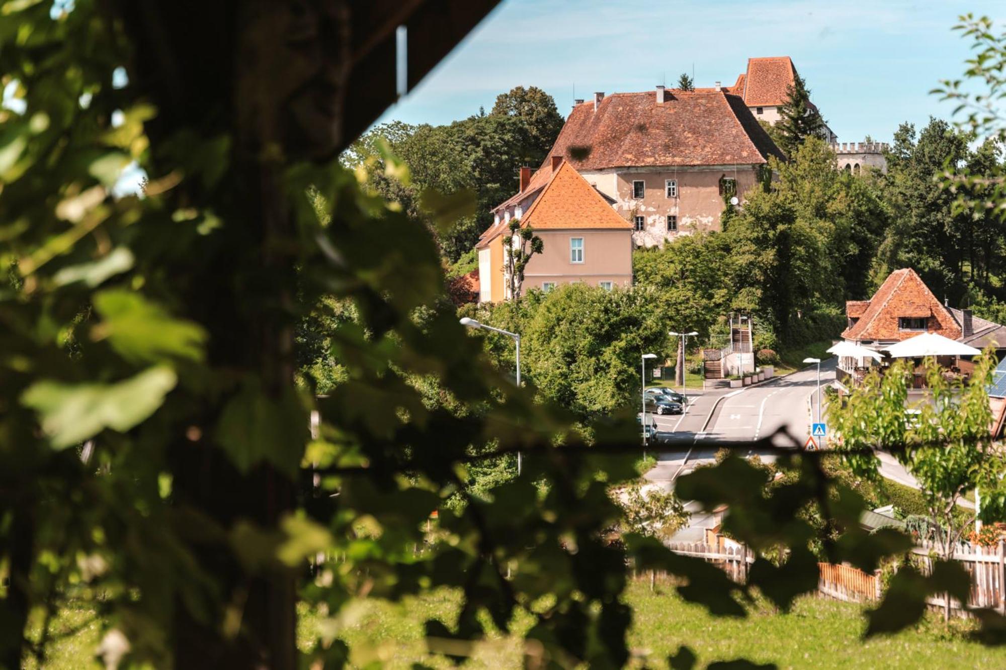 Ferienwohnungen Karin Am Seggauberg Лейбниц Экстерьер фото